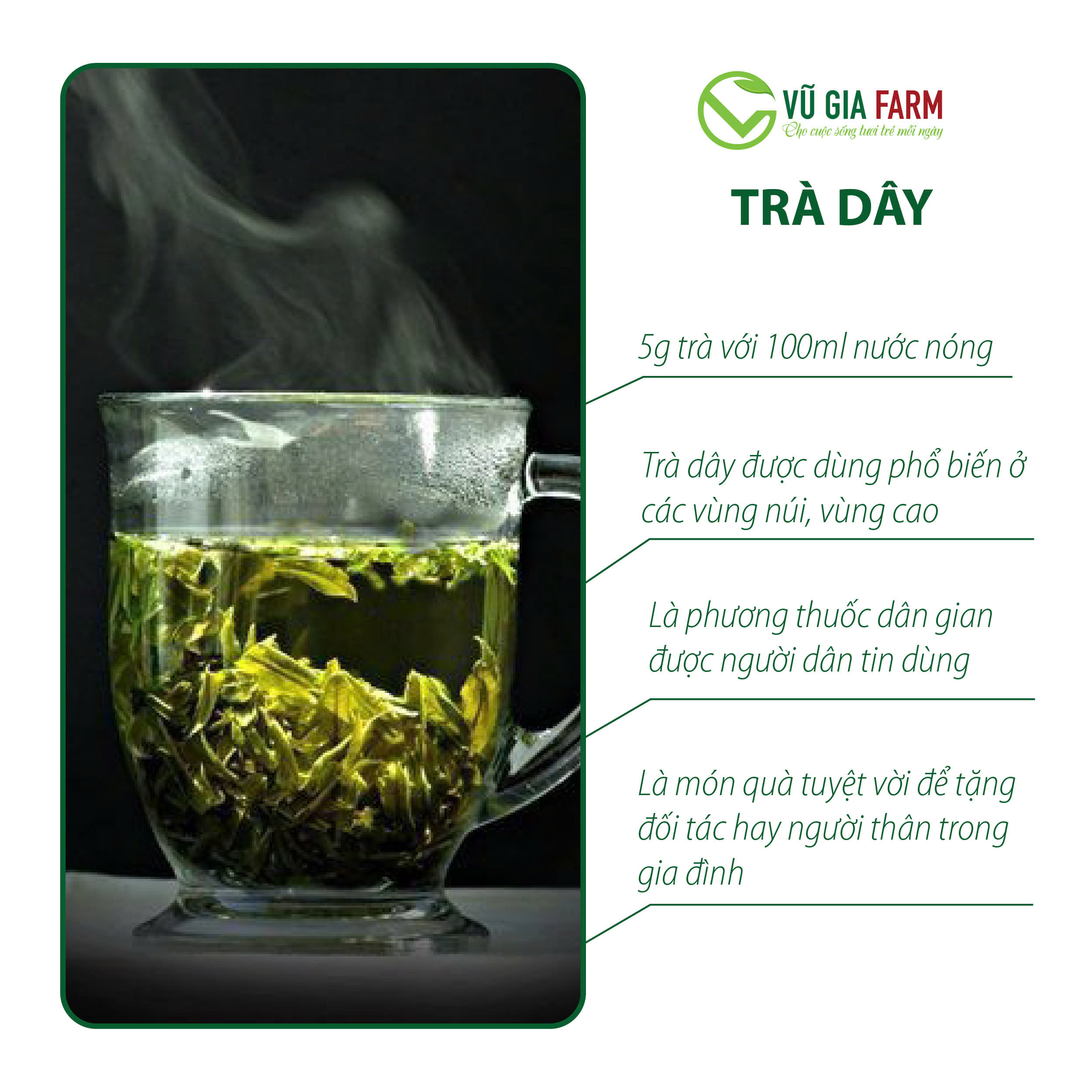 Trà Dây Túi Lọc Nguyên Chất Bảo Lộc Vũ Gia (20 gói/ hũ) - Ảnh 3