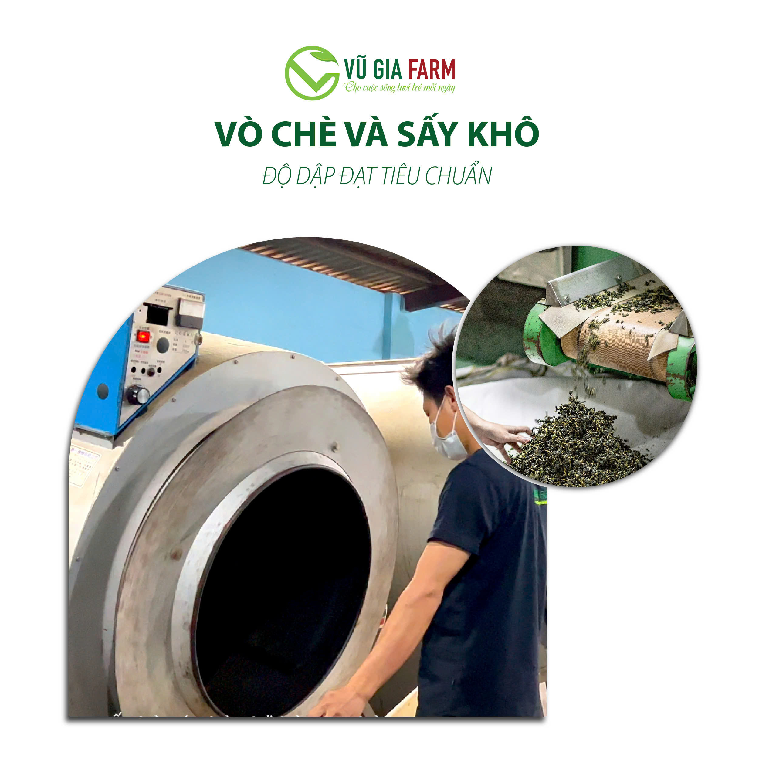 Trà Dây Túi Lọc Nguyên Chất Bảo Lộc Vũ Gia (20 gói/ hũ) - Ảnh 6