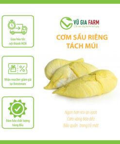 Cơm Sầu Riêng Thái Tây Nguyên Tách Múi [ Hỏa Tốc HCM ]